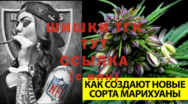 первитин Абаза