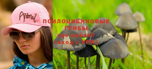 ГАЛЛЮЦИНОГЕННЫЕ ГРИБЫ Абдулино