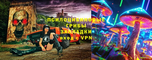ГАЛЛЮЦИНОГЕННЫЕ ГРИБЫ Абдулино