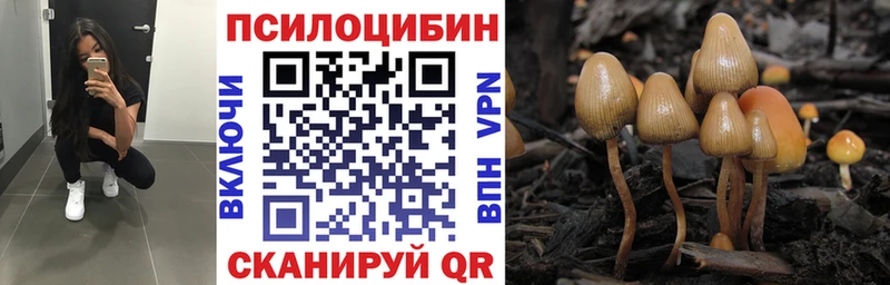 Псилоцибиновые грибы Cubensis  Лебедянь 